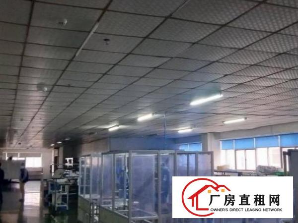  公明松白路原房东厂房2000平出租精装修