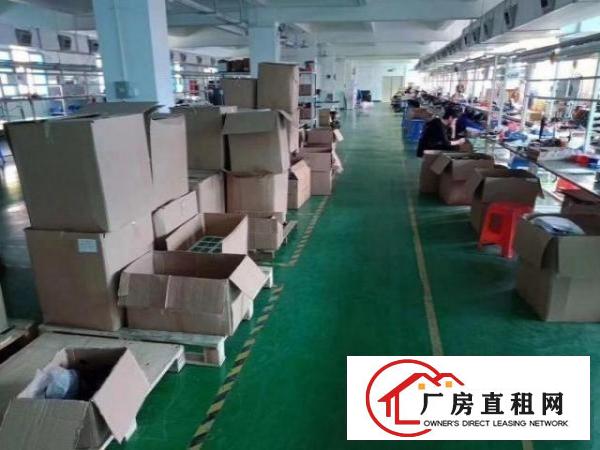  公明公常路主干道楼上新出1100平米带装修厂房出租