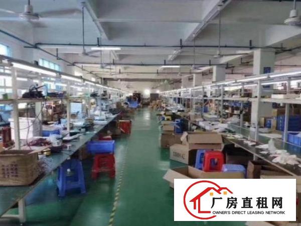  公明观光路新出楼上1000平方带装修厂房出租