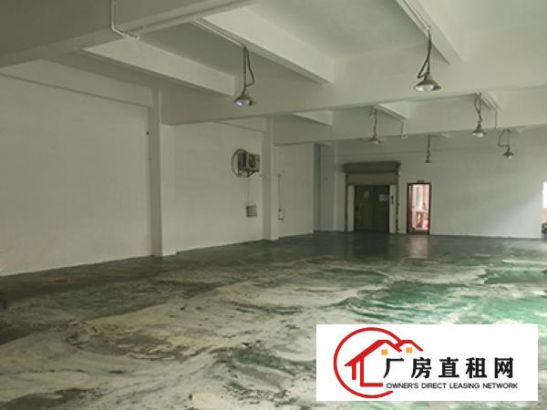  深圳光明大围沙河工业区配电梯办公室免费车位一手房源厂房招租