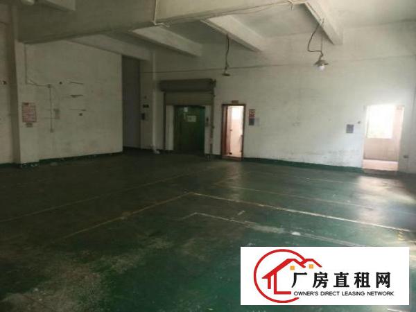  深圳光明大围沙河工业区配电梯办公室免费车位一手房源厂房招租