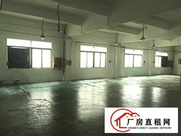  深圳光明大围沙河工业区配电梯办公室免费车位一手房源厂房招租