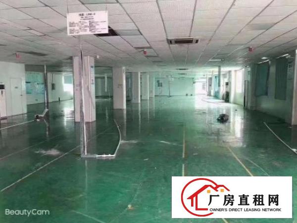  独门独院6000平米