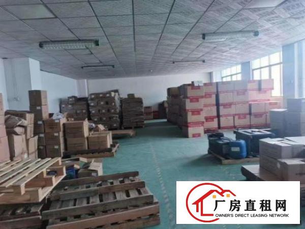  公明精装修厂房850平，无装让费，适合各种行业