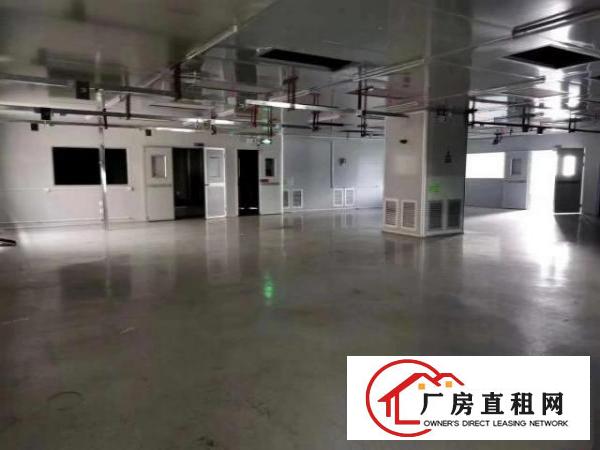  公明田寮新出2楼1450平方无尘车间出租