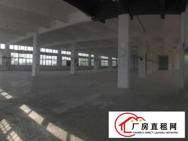  公明龙大高速出口附近新出2楼形象好空地超大面积实在