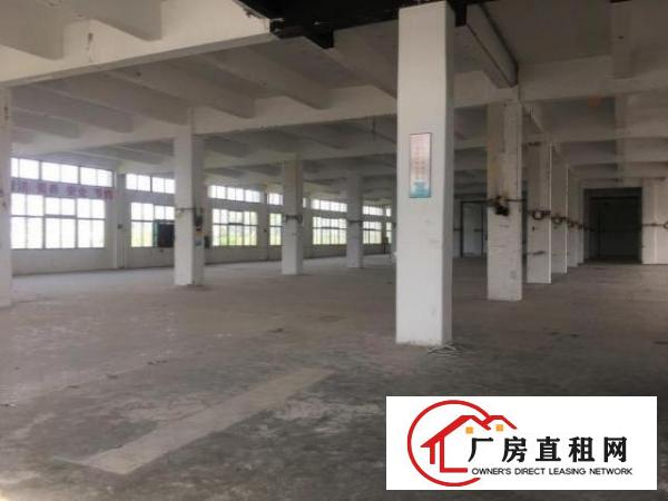  公明龙大高速出口附近新出2楼形象好空地超大面积实在