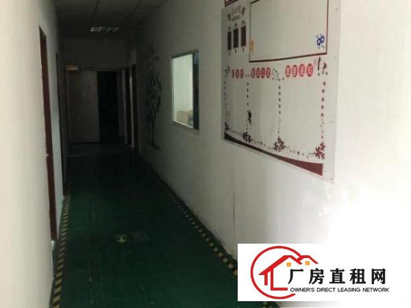  公明马山头工业区新出楼上二层厂房