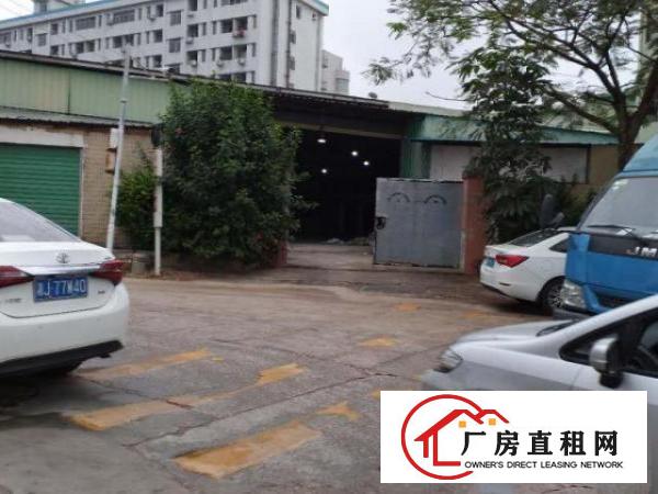  出租公明塘尾独门独院钢构厂房仓库750平松白路边