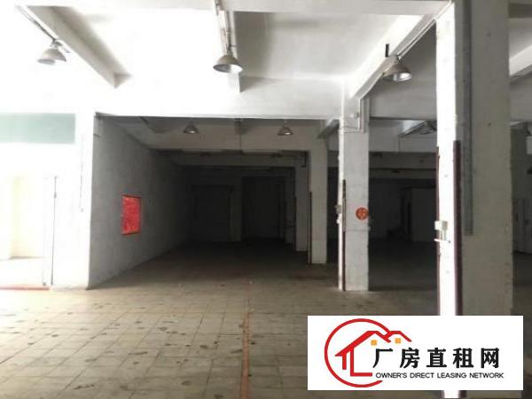  公明蒋石根玉路附近一楼700平方小厂房，独栋！公摊小