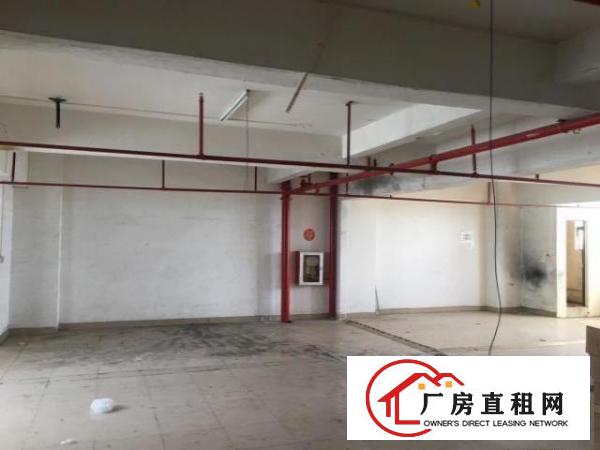  公明蒋石根玉路附近一楼700平方小厂房，独栋！公摊小