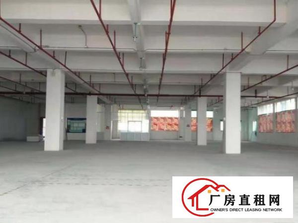  公明根玉路一楼厂房700方低价出租，配电大，大马路边
