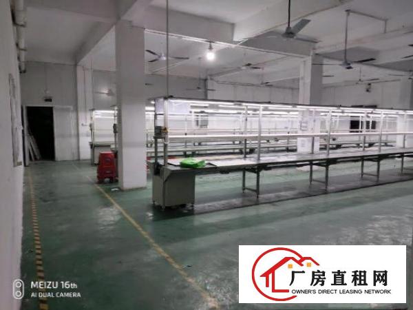  深圳公明合水口新出500平厂房出租