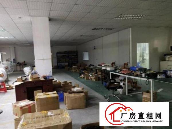  公明将石社区带装修二楼780平方标准厂房出租
