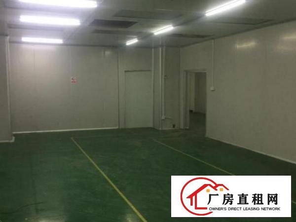  东坑长丰工业园厂房出租