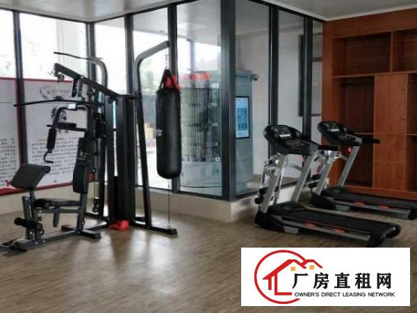  出租公明钟表基地伯尼大厦部分楼层，各种大小面积均有