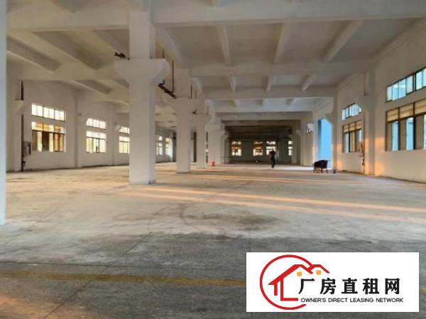  公明龙大高速独院红本厂房