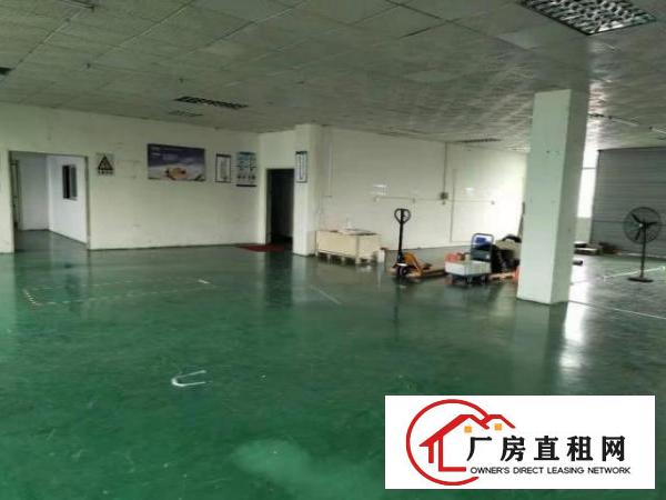  公明蒋石一楼精装修700平方厂房出租，无转让费
