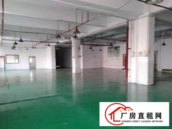  公明玉律社区厂房小两层每层950平方！可分层出租