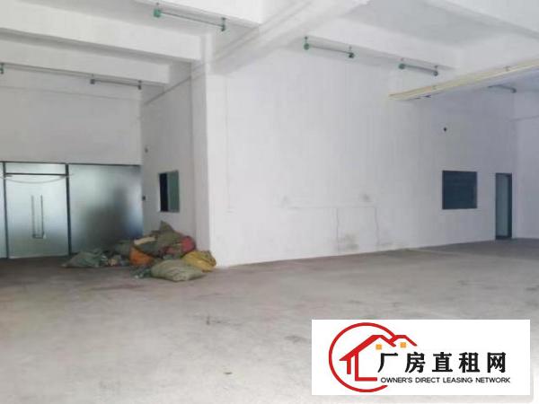  公明光明大道一楼560平厂房出租，空地大，适合各种行业