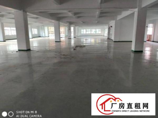  公明马山头社区800平方带装修厂房出租仓库出租