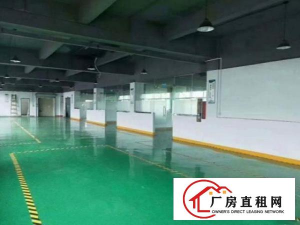  公明白花社区原房东厂房一楼500平方出租、地坪漆