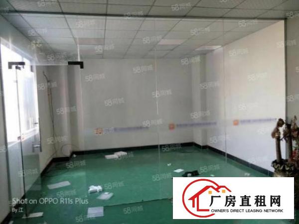  公明碧眼社区精装修260平厂房出租