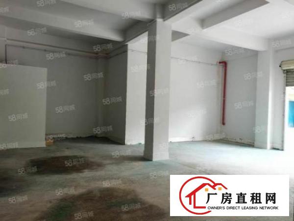  公明根竹园社区标准一楼380平厂房出租