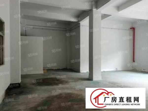  公明根竹园社区标准一楼380平厂房出租