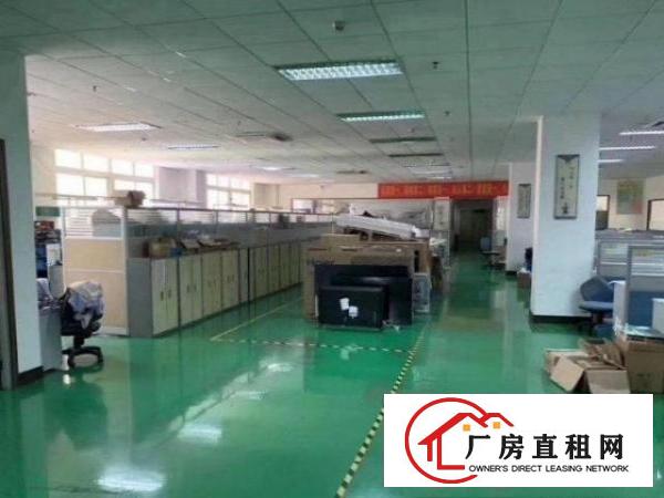  公明合水口新出450平米标准一楼厂房出租，水电齐全