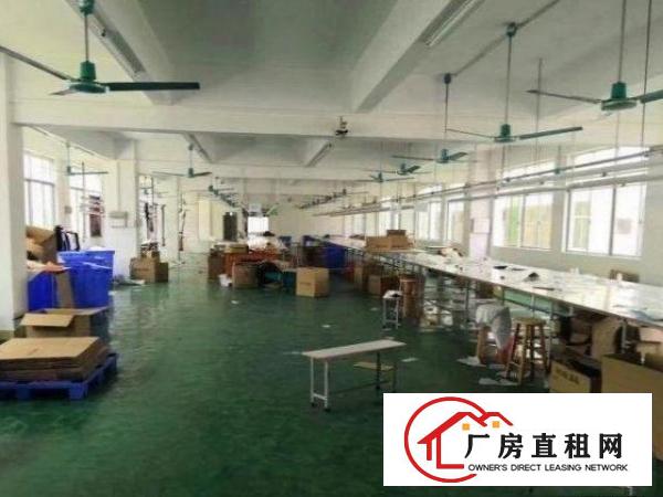  公明根玉路新出一楼无公摊标准厂房800平方，环境好