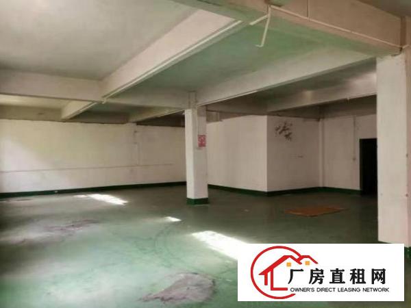  公明西田一楼厂房300方出租，适合做电商办公仓储一体