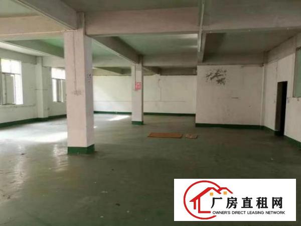  公明西田一楼厂房300方出租，适合做电商办公仓储一体