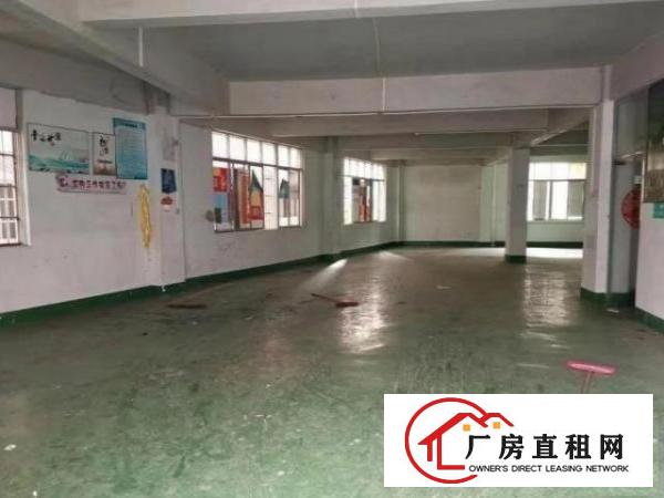  公明西田一楼厂房300方出租，适合做电商办公仓储一体