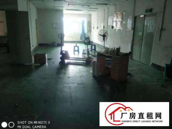 公明玉律急租楼上厂房550平，拎包入住，免转让费