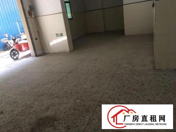  一楼店铺出租，可以做美图外卖。仓库。独立大院，车辆好进出