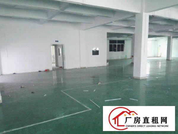  公明塘尾新空出标准一楼360平厂房，现成办公室