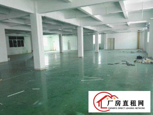  公明塘尾新空出标准一楼360平厂房，现成办公室