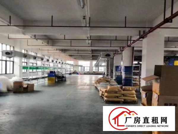  公明长圳性价比！标准厂房1楼230平方带精装修出租