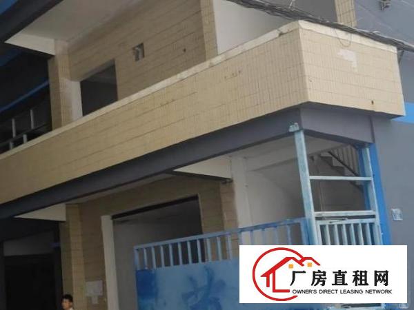  独门独院全新装修水电气网齐全