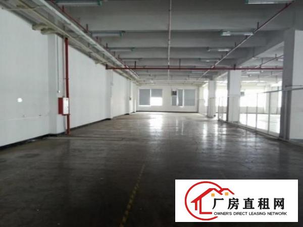  公明东坑一楼厂房900平米出租，有装修，消防已过