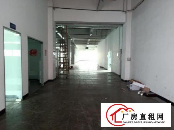  公明东坑一楼厂房900平米出租，有装修，消防已过