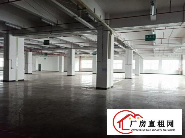  公明东坑一楼厂房900平米出租，有装修，消防已过