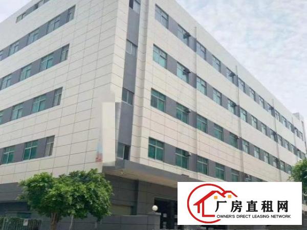  南光高速出入口田寮原房东厂房招租2000平，有红本