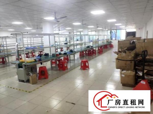  南光高速出入口田寮原房东厂房招租2000平，有红本