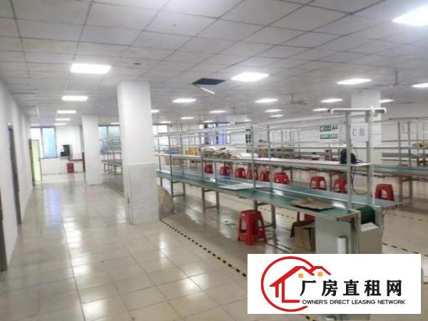  南光高速出入口田寮原房东厂房招租2000平，有红本