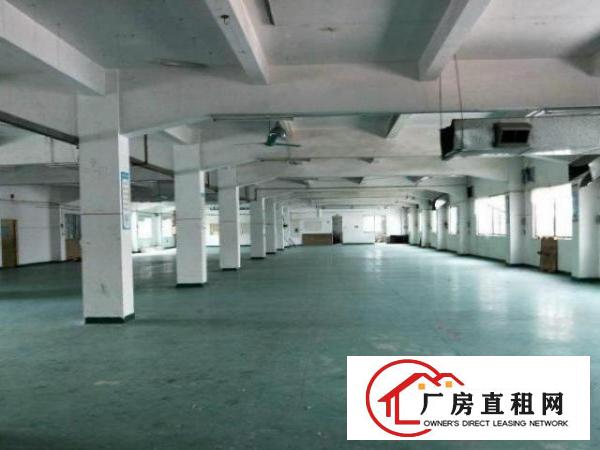  公明1楼厂房550平方低价招租，带装修，高6米