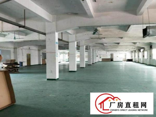  公明1楼厂房550平方低价招租，带装修，高6米