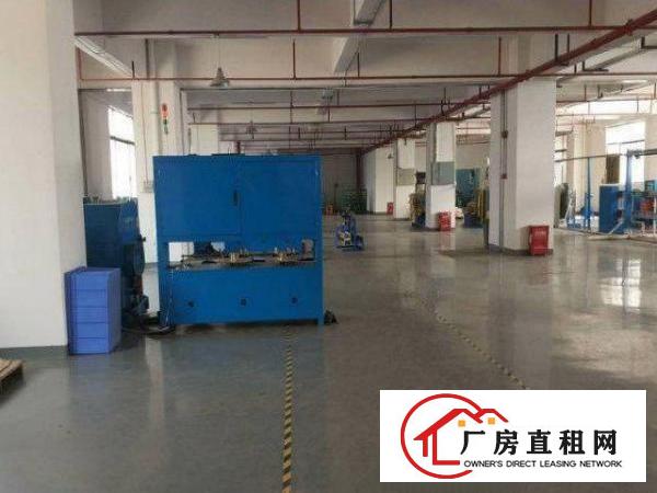  公明街道原房东直租1楼850平高6米！现成主线