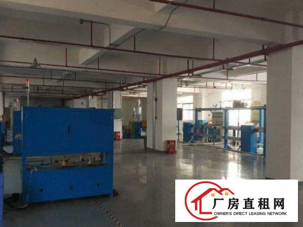  公明街道原房东直租1楼850平高6米！现成主线